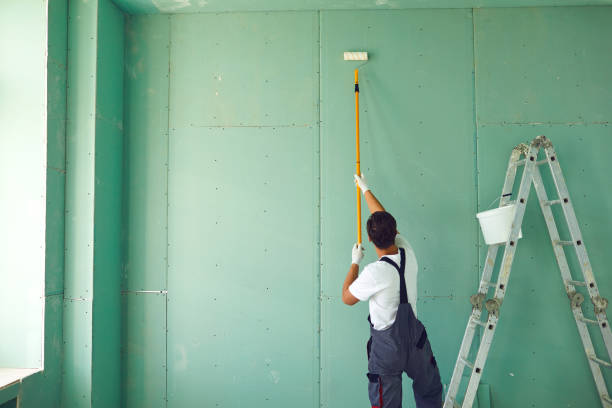 Reliable Geneva, NE Mold Removal Solutions