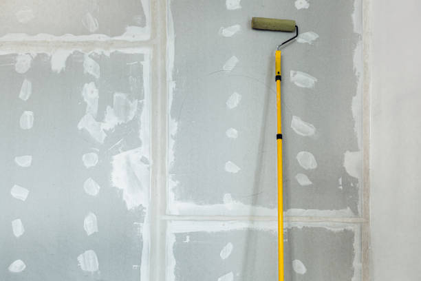 Best Asbestos and Lead Testing During Mold Inspection  in Geva, NE