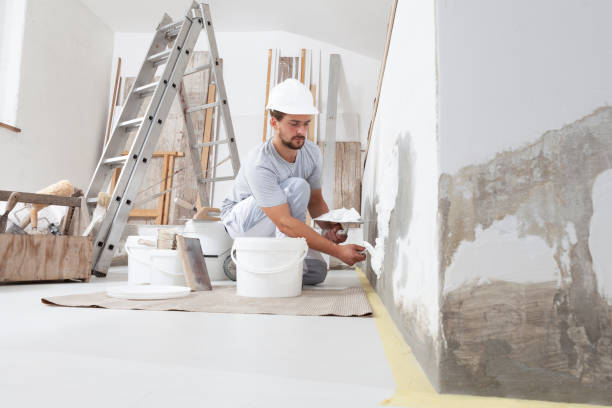 Best Mold Remediation for Vacation Homes  in Geva, NE