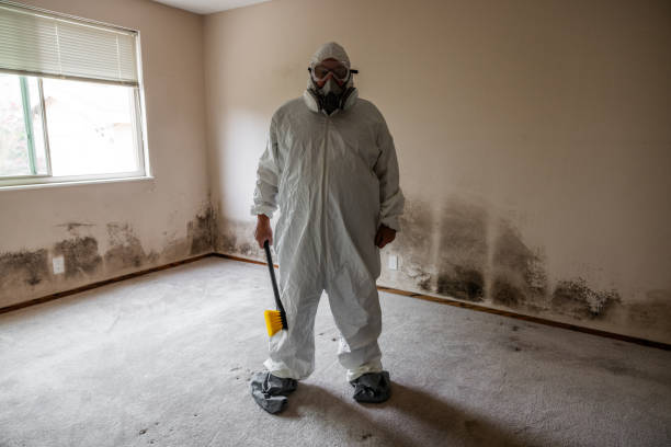 Best Commercial Mold Inspection  in Geva, NE